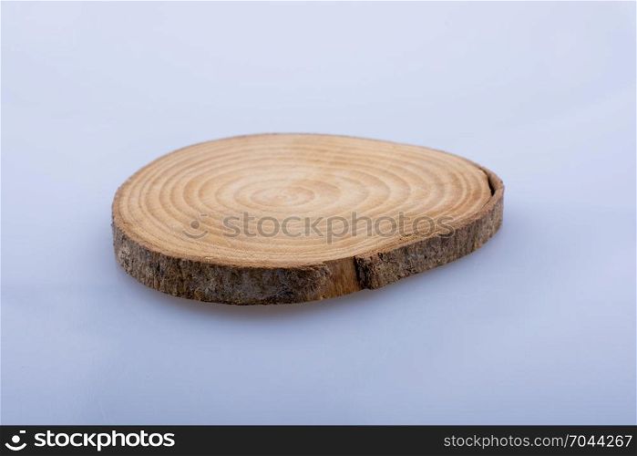 Wood Log cut in round thin pieces on a white background