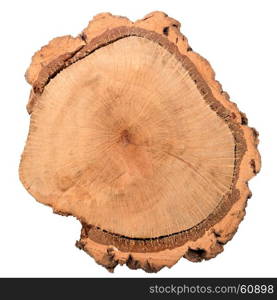 Wood log slice cutted tree trunk isolated on white, top view.