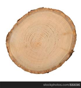 Wood log slice cutted tree trunk isolated on white, top view.