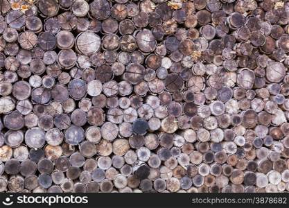 wood log texture background