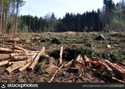 Wood logging