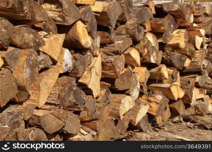 Wood logs cut in stacked for firewood