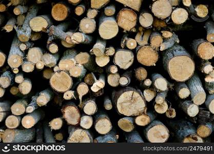 Wood logs firewood whole saw cut tree branches stacked pile drying for winter fireplace texture background