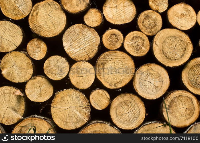 Wood logs pattern background