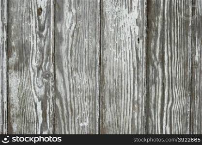 Wood old wall background shot on natural light.