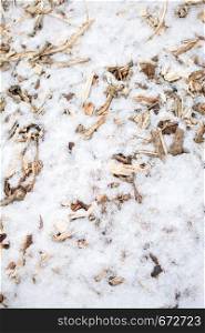 Wood pieces on white snow in the cold winter