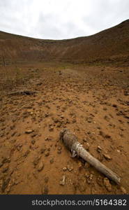 wood plant bush timanfaya in los volcanes volcanic rock stone sky hill and summer lanzarote spain