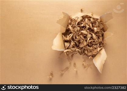 Wood shavings in torn paper. Cardboard paper as background texture