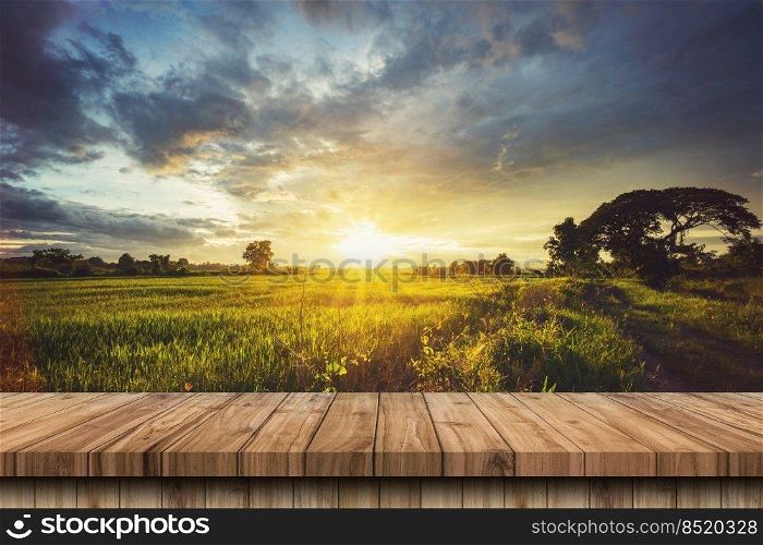 Wood table and rice field and sunset blue sky with lens flare, display montage for product.