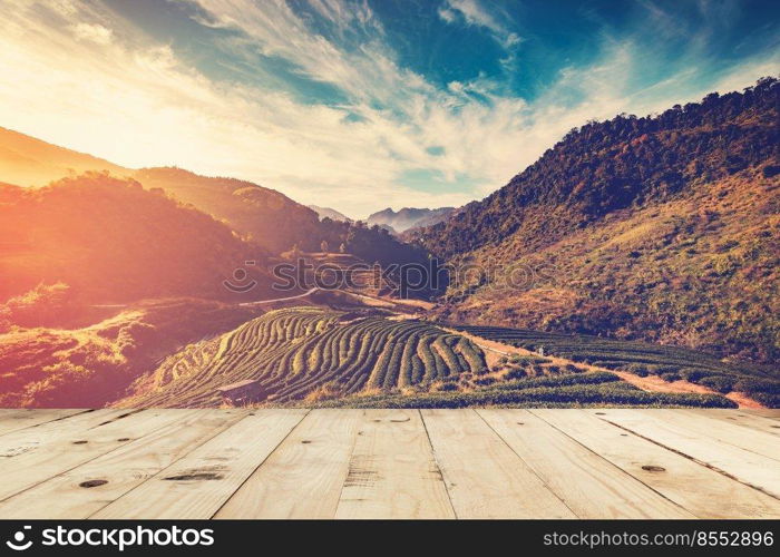 wood table and tea field and sunrise vintage in morning