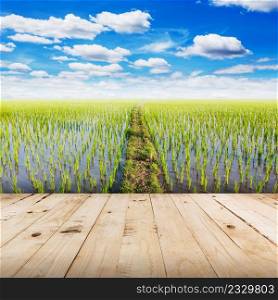 wood tabletop and field rice with blue sky clouds