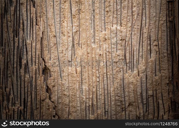 Wood texture background of wood table for interior exterior decoration and industrial construction design.