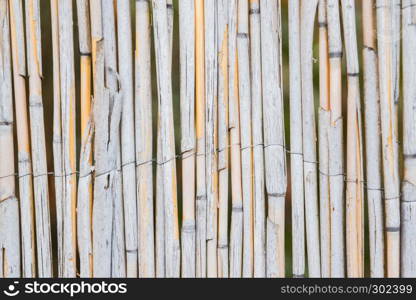 wood texture background with old panels used