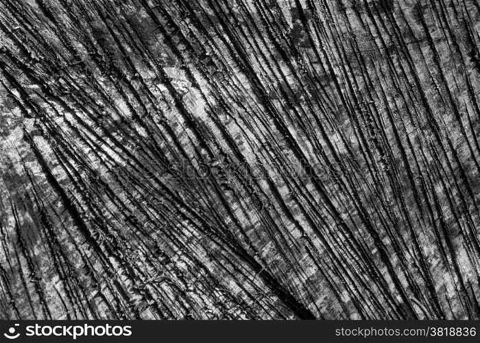 Wood texture grunge background. Black and white wood texture grunge background