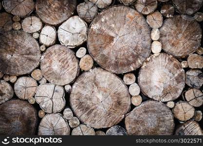 Wood texture or wood background. wood for interior exterior decoration and industrial construction concept design. wood motifs that occurs natural.