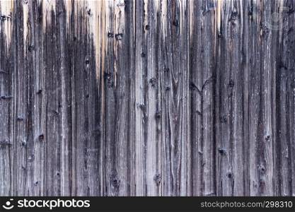 Wood texture. The surface of the gray natural wooden background for design and decoration interior and exterior.