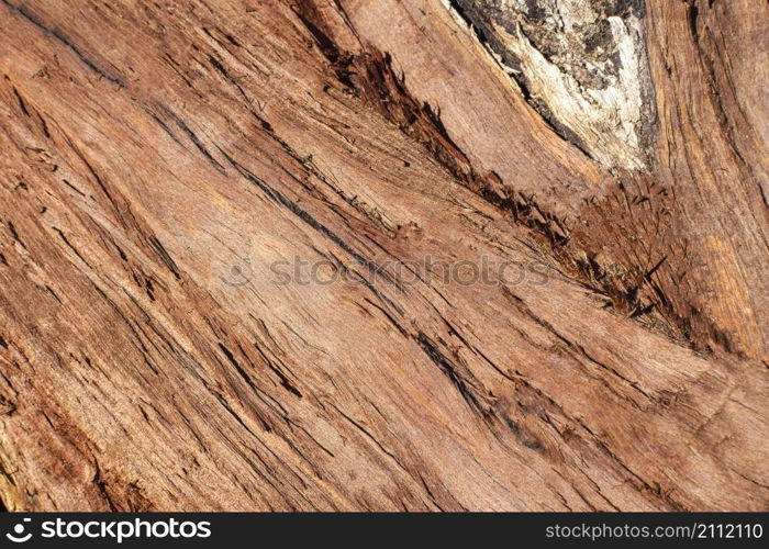 wood texture with grains