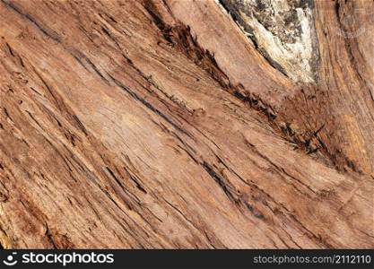 wood texture with grains