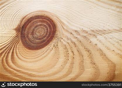 Wood texture with knot for background. Close up