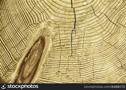 Wood texture wooden background with knot knotted