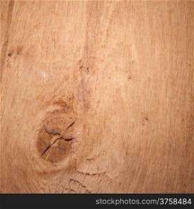 Wood texture wooden wall background with knot knotted. Square format