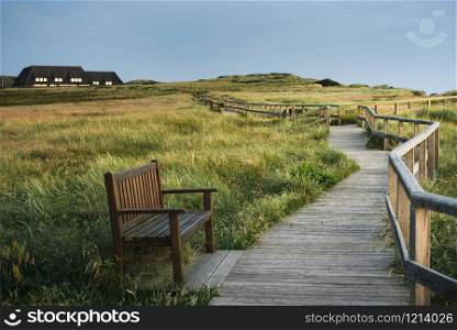 Wood walkway through grassy dunes with marram grass on Sylt island, at North Sea, in Germany. Evening scenery in protected nature. Frisia countryside.