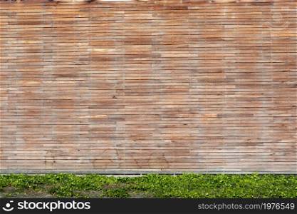 Wood wall texture, wooden background. Beautiful Abstract Texture Banner With Space For Text