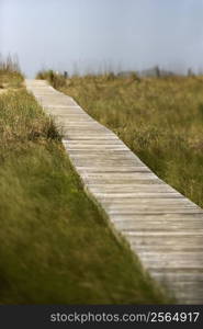 Wooden access path to beach on Bald Head Island, North Carolina.