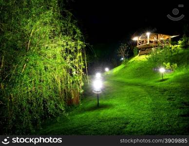 Wooden arbour and green osier at night
