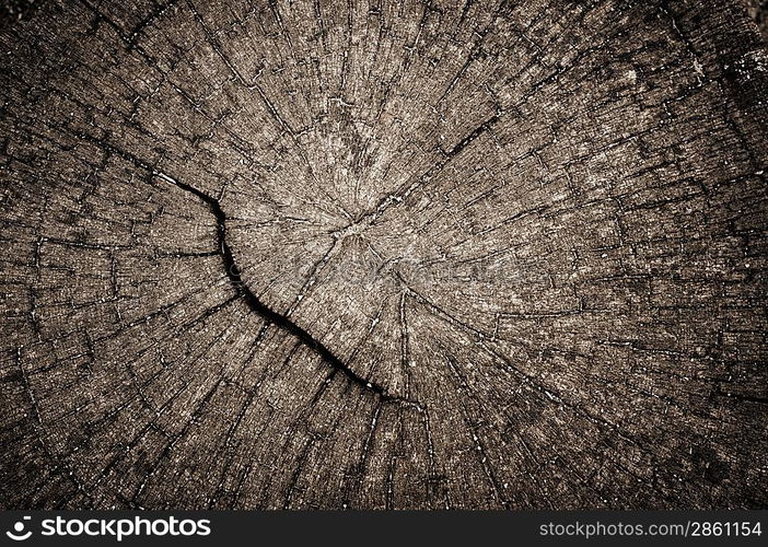 Wooden background.