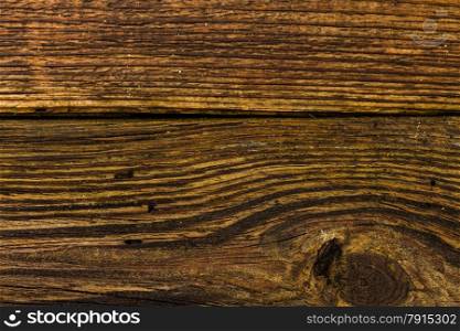 wooden background from the boards