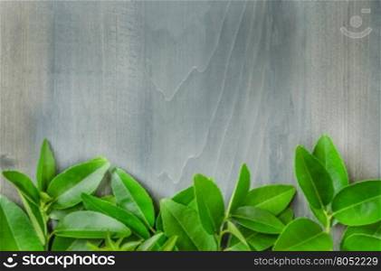 wooden background with green leaves. top view of wooden background with green leaves