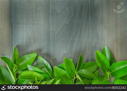 wooden background with green leaves. top view of wooden background with green leaves