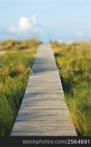 Wooden beach access walkway.