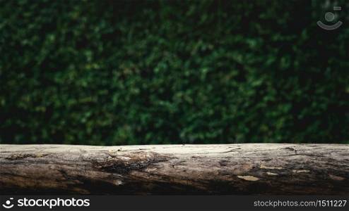 wooden bench and green bush blur background