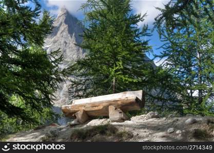 wooden bench betwwen trees in Italian Alps