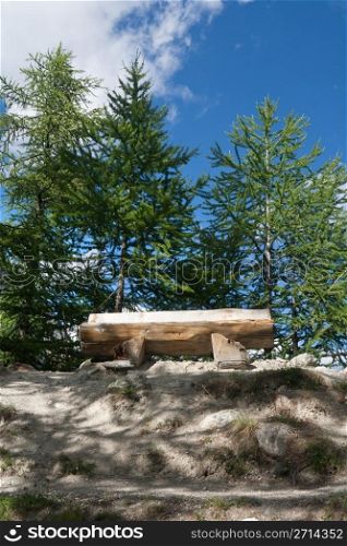 wooden bench betwwen trees in Italian Alps