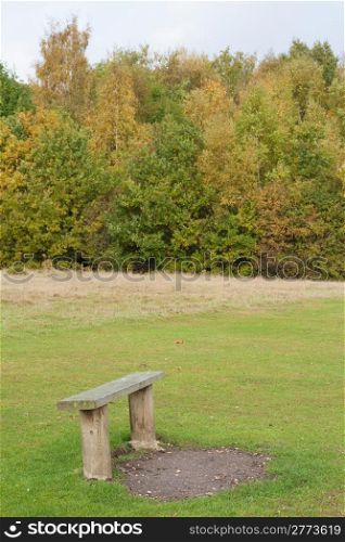 Wooden bench in a park in autumn with trees in the background. Highwoods Park in Colchester, Essex, England, United Kingdom.