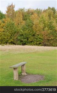 Wooden bench in a park in autumn with trees in the background. Highwoods Park in Colchester, Essex, England, United Kingdom.