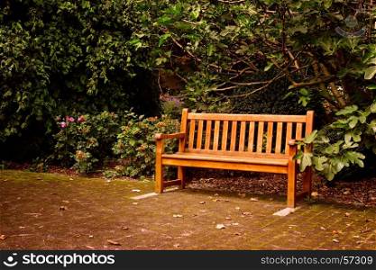 Wooden bench in beautiful summer park