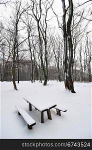 Wooden bench in park covered with snow