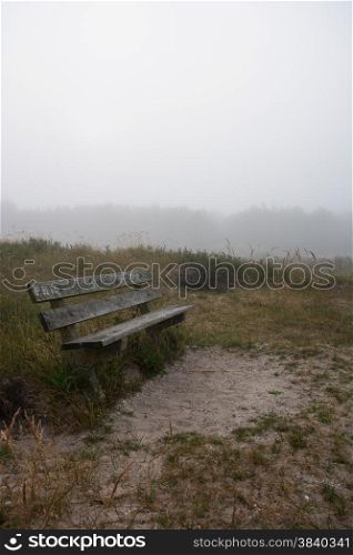 wooden bench in quiet misty forest