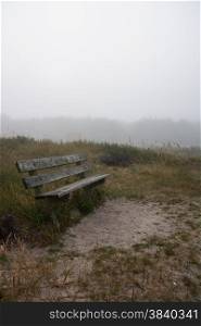 wooden bench in quiet misty forest