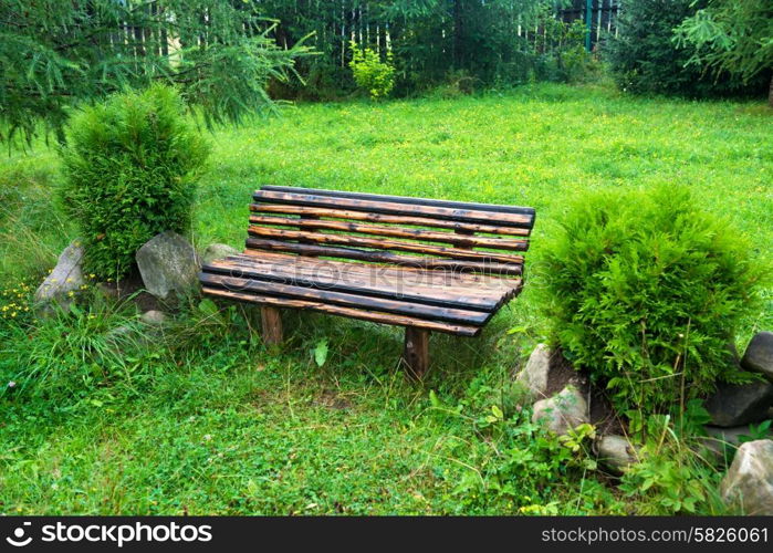 Wooden bench in the green park. Lawn with green grass