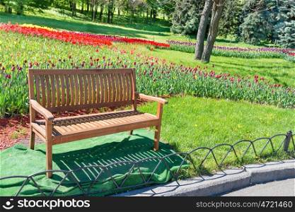 Wooden bench in the green park with tulips field