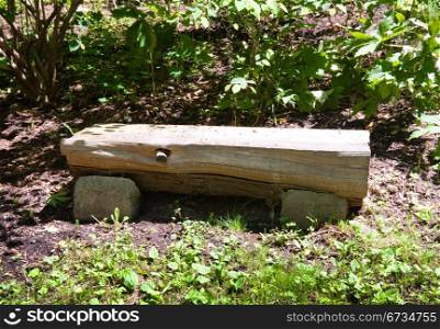 Wooden bench in Washington Park Arboretum