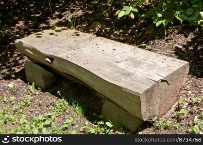 Wooden bench in Washington Park Arboretum