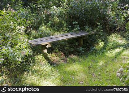 wooden bench to sit in the forest