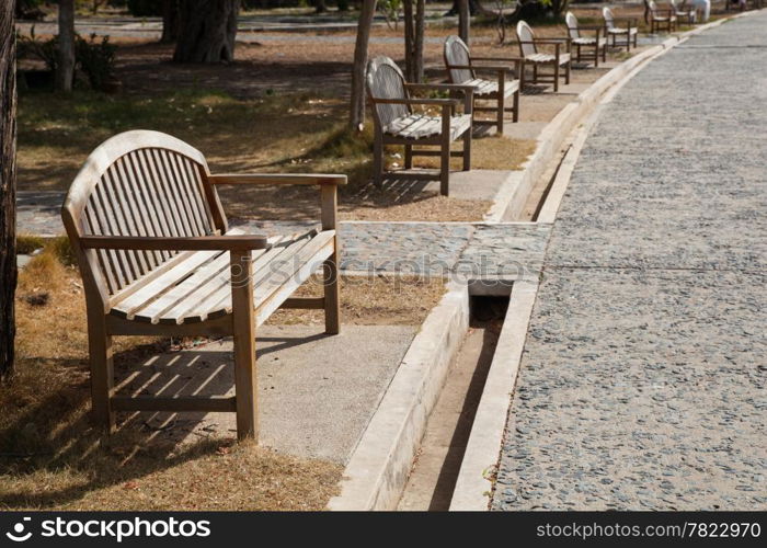 Wooden bench under a tree near the pathway in the park.