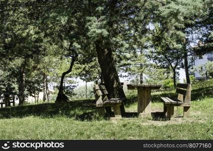 Wooden benches and a table in the woods.